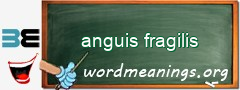 WordMeaning blackboard for anguis fragilis